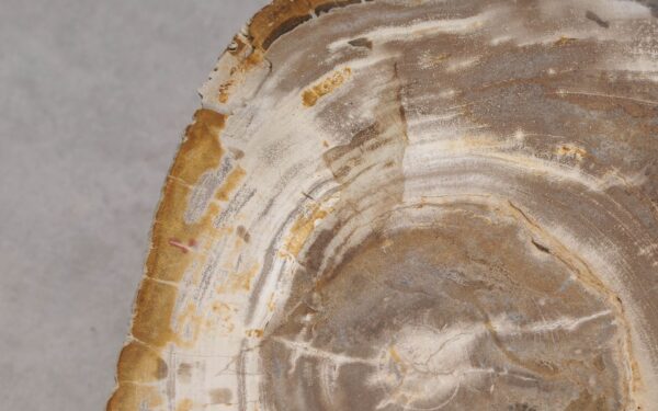 Mesa de centro madera petrificada 56212