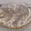 Mesa de centro madera petrificada 56213