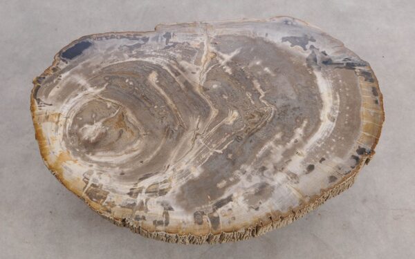 Mesa de centro madera petrificada 56213