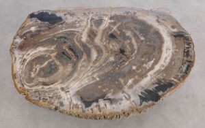 Mesa de centro madera petrificada 56217