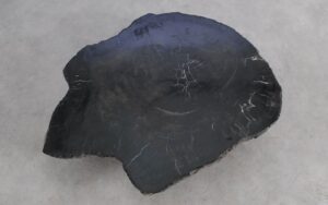 Mesa de centro madera petrificada 56220