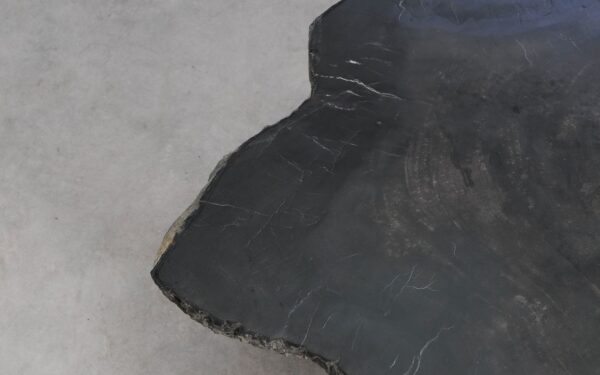 Mesa de centro madera petrificada 56220