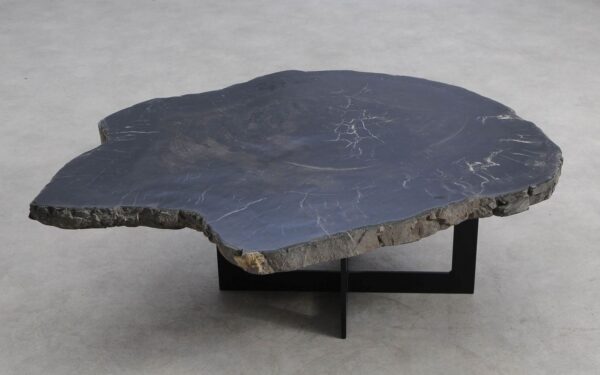 Mesa de centro madera petrificada 56220