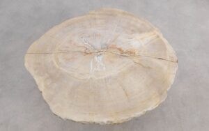 Mesa de centro madera petrificada 56227a