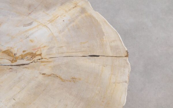 Mesa de centro madera petrificada 56227a