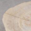 Mesa de centro madera petrificada 56227a