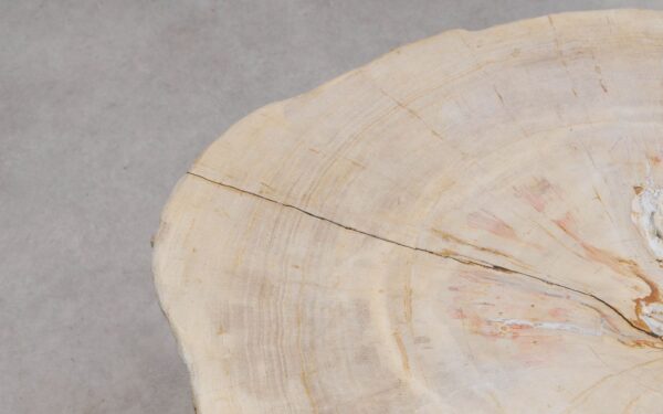 Mesa de centro madera petrificada 56227a