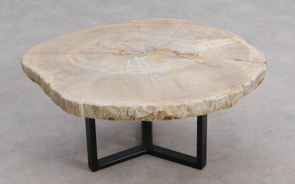 Mesa de centro madera petrificada 56227a
