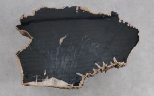 Mesa de centro madera petrificada 56229