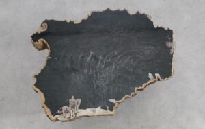 Mesa de centro madera petrificada 56231