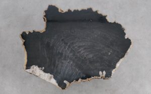 Mesa de centro madera petrificada 56233