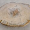 Mesa de centro madera petrificada 57222