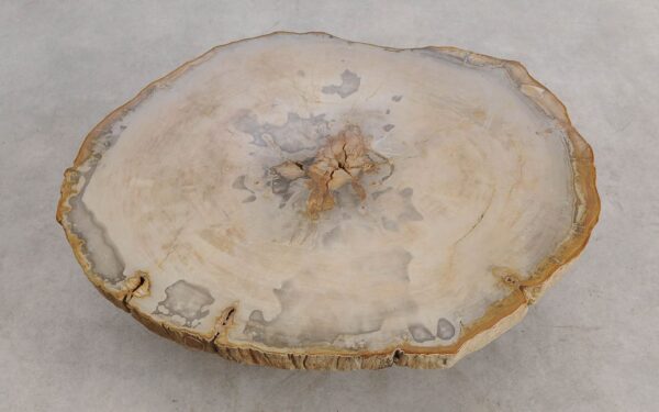 Mesa de centro madera petrificada 57222
