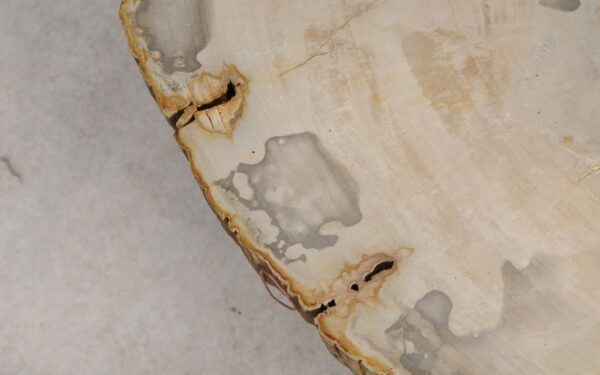 Mesa de centro madera petrificada 57222