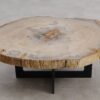 Mesa de centro madera petrificada 57222