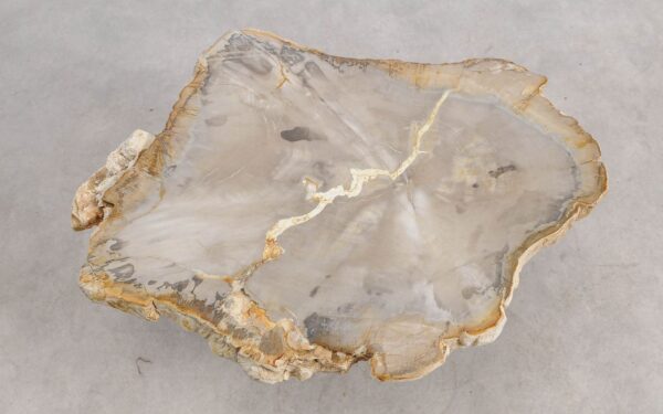 Mesa de centro madera petrificada 57224