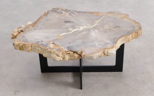 Mesa de centro madera petrificada 57224