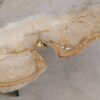 Mesa de centro madera petrificada 57230