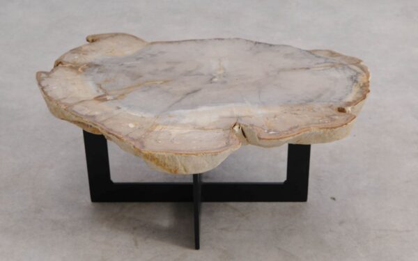 Mesa de centro madera petrificada 57230