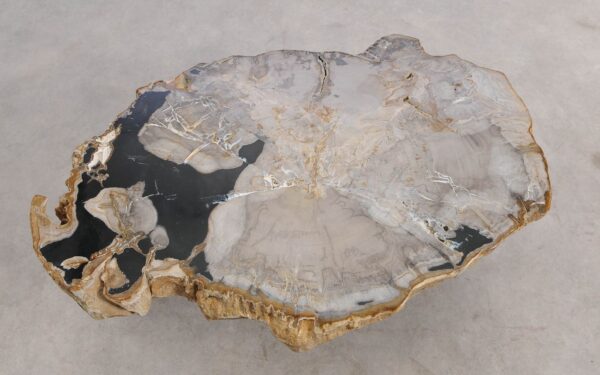 Mesa de centro madera petrificada 57242