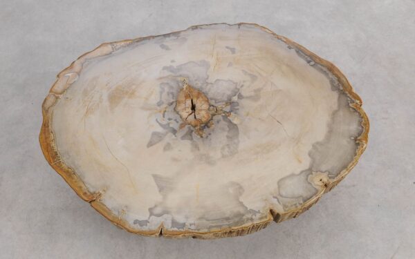 Mesa de centro madera petrificada 57245