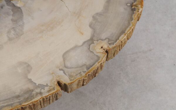 Mesa de centro madera petrificada 57245