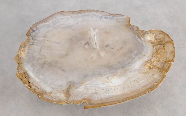 Mesa de centro madera petrificada 57262