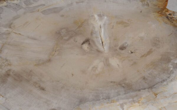 Mesa de centro madera petrificada 57262