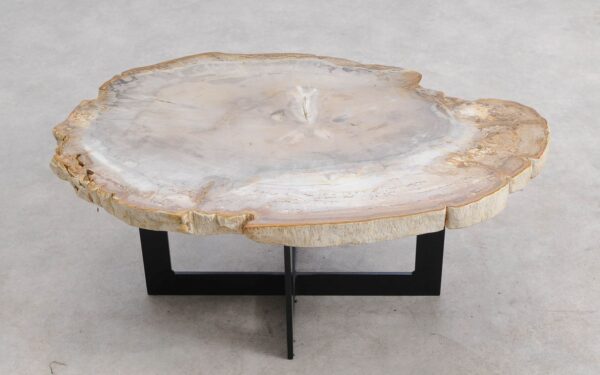 Mesa de centro madera petrificada 57262