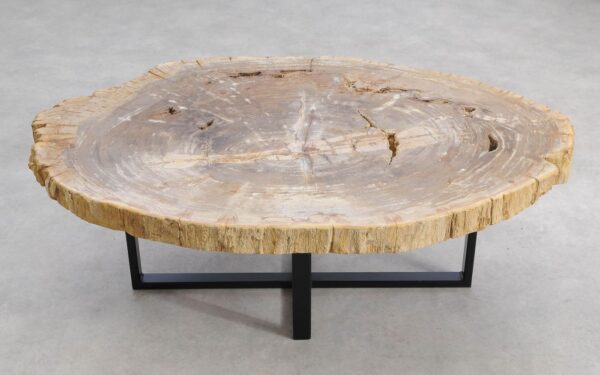 Salontafel versteend hout 56146