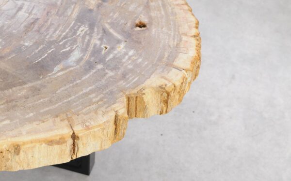 Salontafel versteend hout 56147