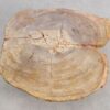 Salontafel versteend hout 56156