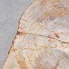 Salontafel versteend hout 56156