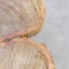 Salontafel versteend hout 56156