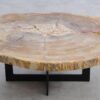 Salontafel versteend hout 56156