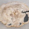 Salontafel versteend hout 56157