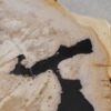 Salontafel versteend hout 56157