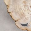 Salontafel versteend hout 56157