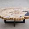 Salontafel versteend hout 56157