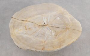 Salontafel versteend hout 56159