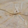 Salontafel versteend hout 56159