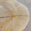 Salontafel versteend hout 56159