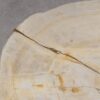 Salontafel versteend hout 56159