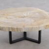 Salontafel versteend hout 56159