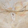 Salontafel versteend hout 56160