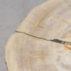 Salontafel versteend hout 56160