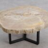Salontafel versteend hout 56160