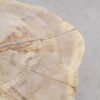 Salontafel versteend hout 56161