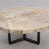 Salontafel versteend hout 56161
