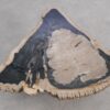 Salontafel versteend hout 56162